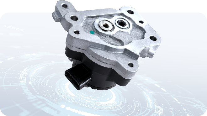 Brushless Pump Motor